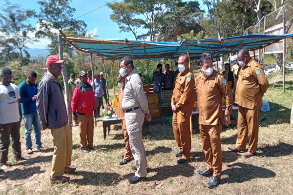 Bupati Jayawijaya Panen Ikan Air Tawar di Distrik Asolokobal
