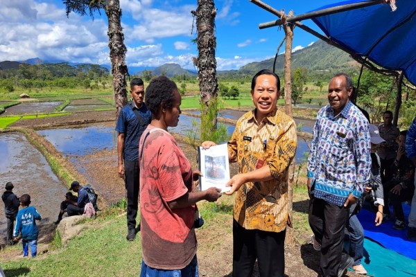 Festival Kopi Bakal Digelar di Wamena – Papua Pegunungan