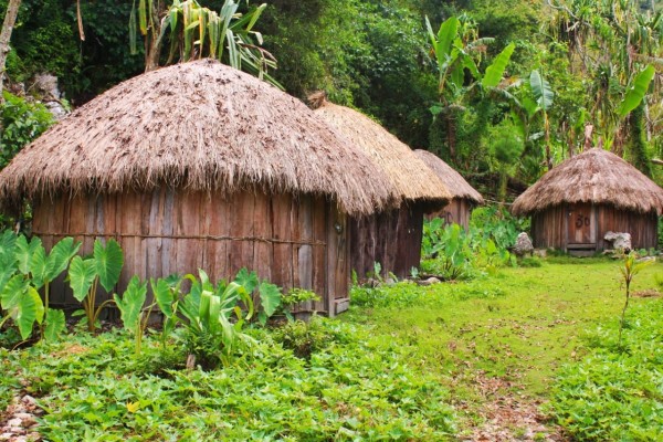 Ingin Tidur di Honai Ala Suku Dani, Kunjungi 3 Kampung Wisata ini