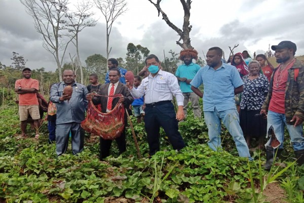 Kelompok Tani Rajin, Pemda Jayawijaya Siap Bantu Bibit Ternak