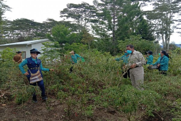 Anggota PKK Diminta Memanfaatkan Pekarangan Rumah Sebagai Apotek dan Warung Hidup