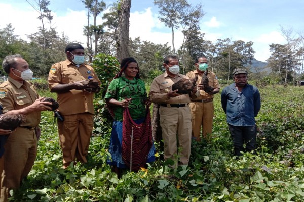 Bupati : Kembali ke Kebun Bukan Program Pemerintah, Tapi Budaya yang Wajib Terapkan