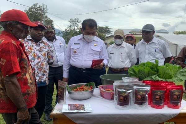 Kelompok Tani Okesa Kampung Yagara Kembangkan Kawasan Agrowisata